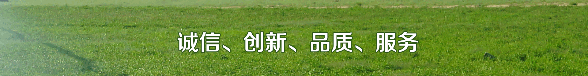 蜜桃视频黄色在线观看係統