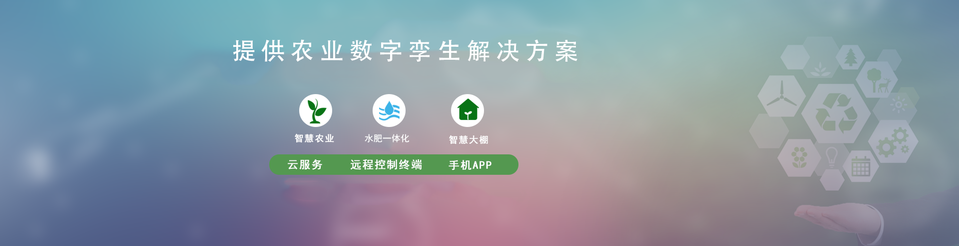 節水蜜桃视频黄色在线观看