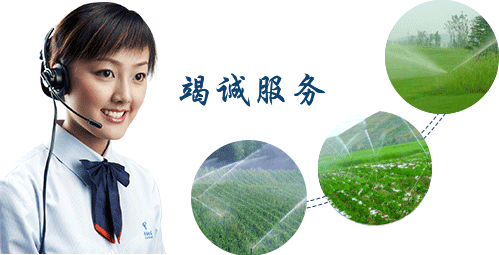  節水蜜桃视频黄色在线观看
